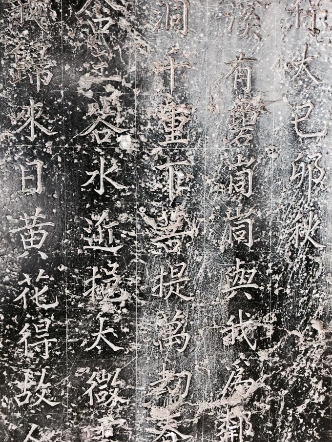 33754335653_445f6a0a34_o