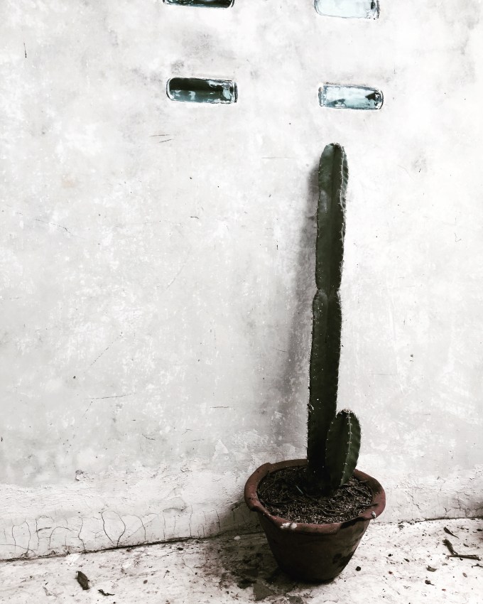 34801585332_495ec57852_o