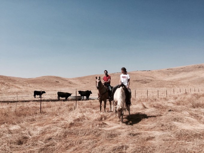 35663125020_4bc3555cbc_o