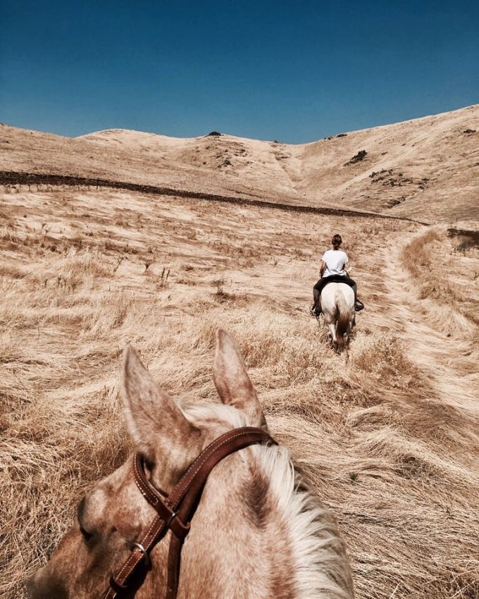 35919660581_f75c650358_o