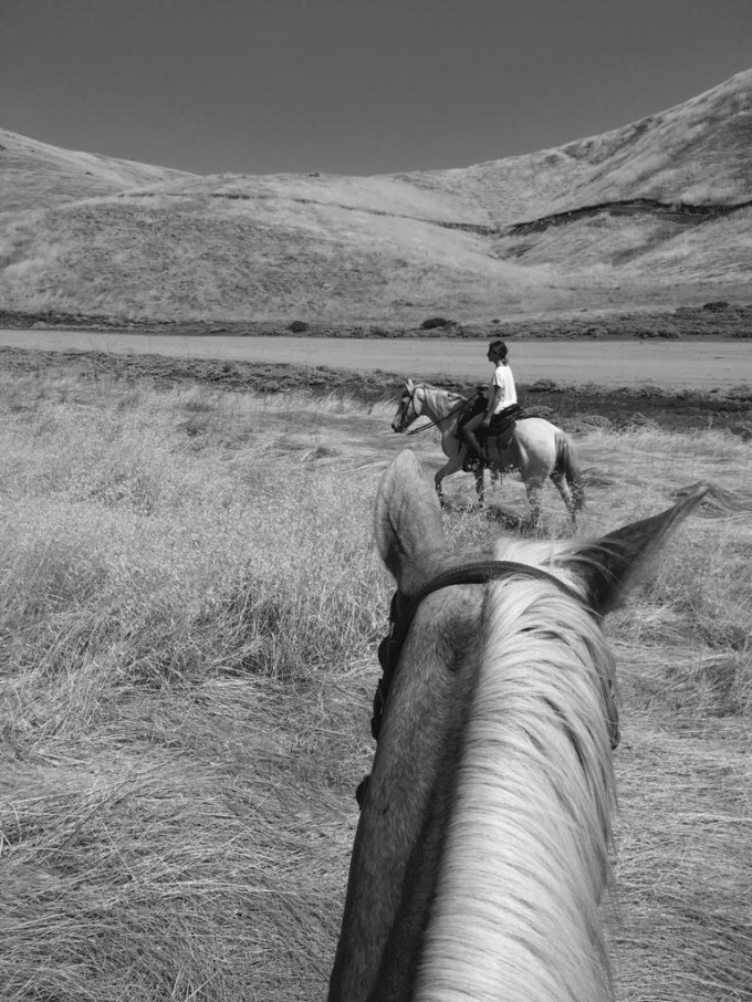 36010489706_725312e5d8_o