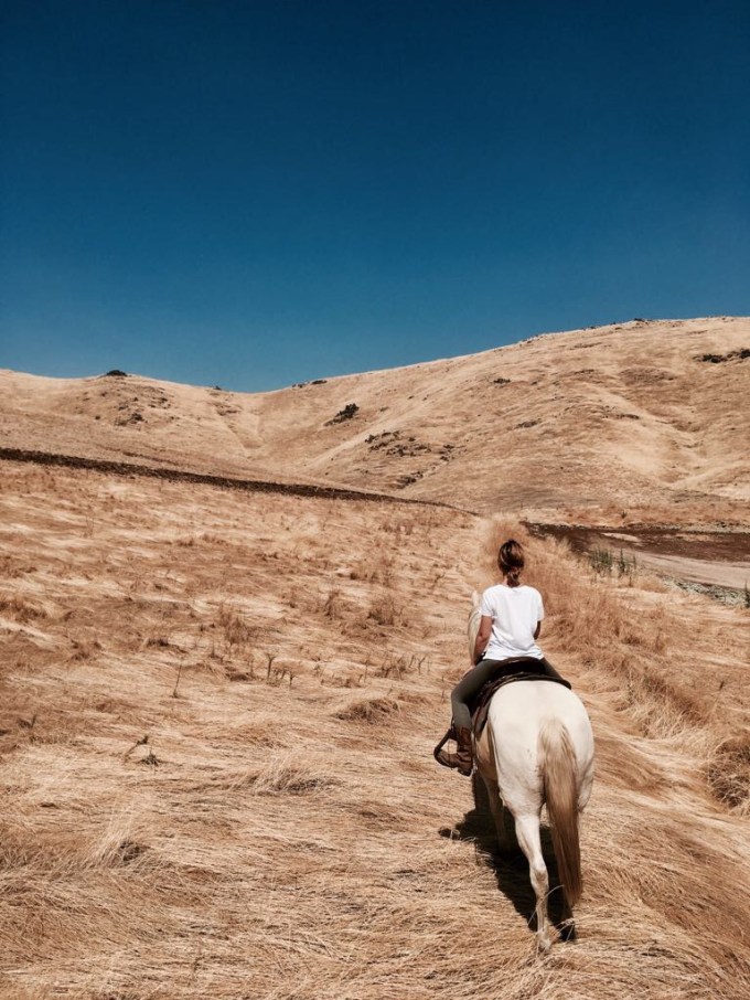 36010519486_c64ac7e861_o